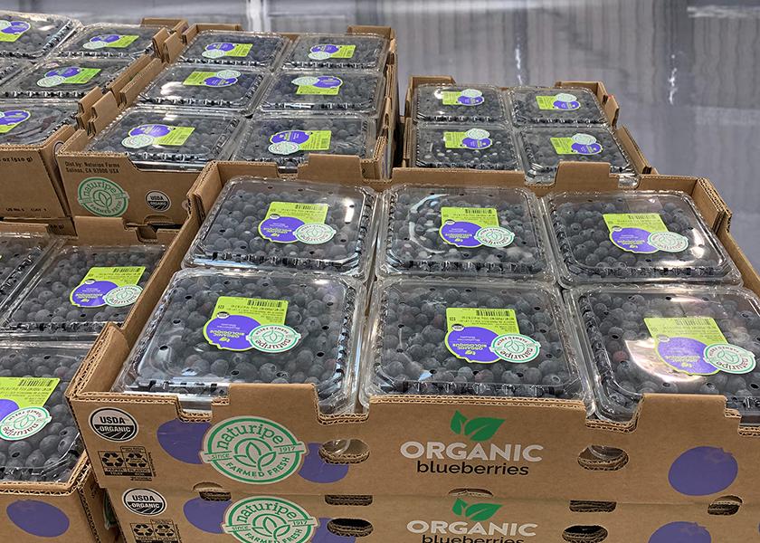 Naturipe begins Chilean blueberry season with high expectations The Packer
